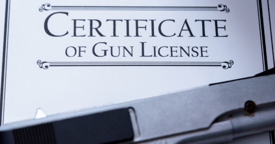 gun license certificate